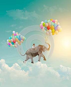 Poco sul cavallo un elefante volare il cielo fantasia metafora successo 