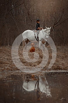 Little girl in riding habit with horse and vizsla photo