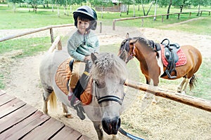 A little girl riding a miniature horse in nature. A charming little girl is sitting on a pony. A cute four-year-old girl is taking