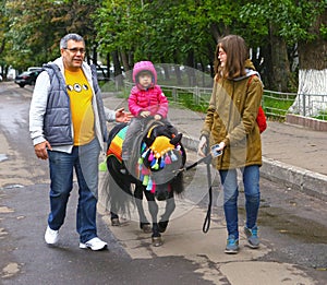 Little girl riding pony horse in autumn park fair