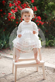 Little girl in rose garden next to a big bush of red roses