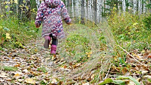 A little girl runs along a path in a birch forest.