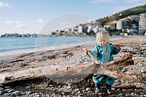 Little girl runs a stick along a snag lying on the seashore