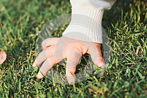The little girl's hand touched the top of the grass on the green lawn.