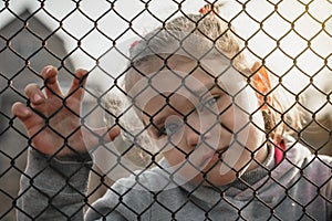Little girl with a sad look behind a metal fence, social problems, raising children in orphanages photo