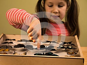 Little Girl Scrutinizes Entomology Collection of Tropical Butterflies