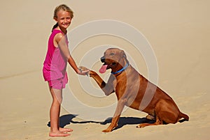 Little girl shaking dog paw