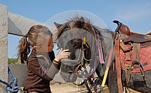 Little girl and shetmand