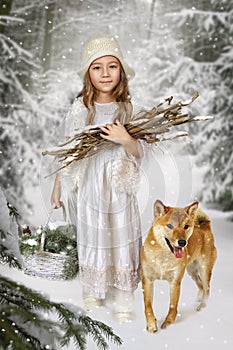 A little girl with a Shiba Inu dog