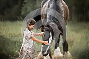 Little girl with shire horse