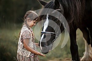 Little girl with shire horse