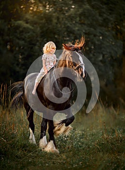 Little girl with shire horse