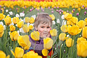 Little girl sit on field of tulips