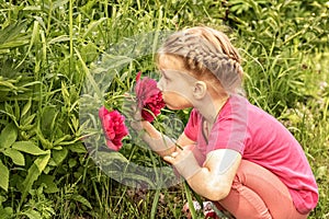 A little girl sits by a flower bed in the garden and sniffs bright pink peonies