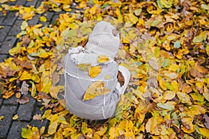 A little girl sits on the ground covered with orange leaves. Rear view