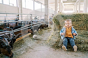 Little girl sits on a haystack near paddocks with goats at a farm