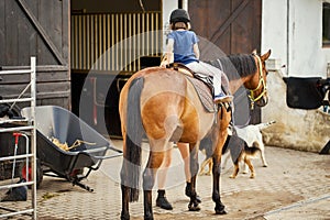 Little girl sits on a horse in the stable