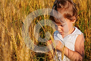 Little girl sits on wheaten field