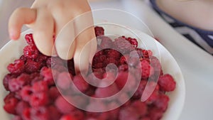 A little girl sitting at a children`s table eats ripe red raspberries