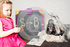 a little girl is sitting on the edge of the sofa with her Shi Tsu pet and counting money. The baby is very focused on