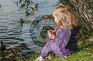 A little girl sitting on a lake side and feeding ducks