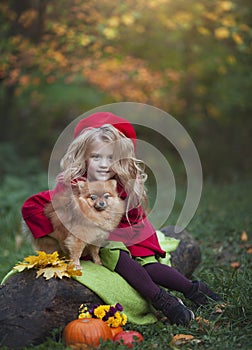 A little girl with a small red dog in the autumn forest sitting on a log next to pumpkins. Autumn photography.