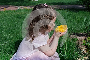 Little girl smell bright yellow flower at spring time