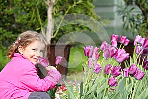 Little girl smell tulip flower