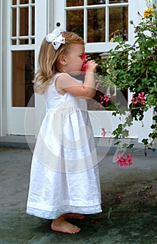 Little Girl Smelling Flower
