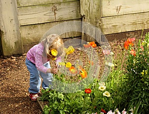 Little girl smelling flowers