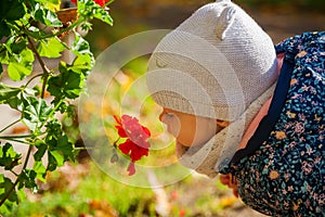 Little girl smelling red flowers