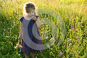 Little girl smelling wild flower on summer meadow