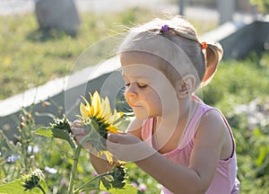 Little girl sniffing a sunflower