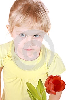 Little girl sniffing tulip portrait