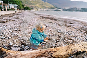 Little girl squats and plays with pebbles near driftwood on the beach