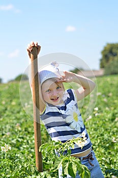 Little girl standing with shovel among potato bushes