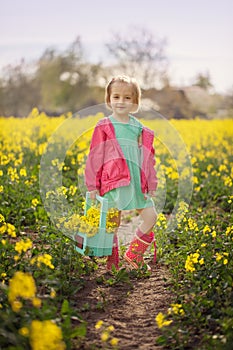 Little girl standing in spring yellow meadow. Child picking summer flowers. Children in country.