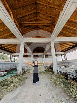 Little girl stands with her arms outstretched on a large farm between paddocks with sheep