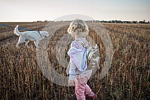 The little girl stands turning her back and staring at a large white dog running across the field at sunset