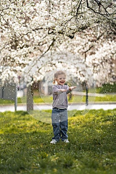 Little girl stands under a blooming apple tree. The wind blows and flower petals fly like snow in Prague park, Europe