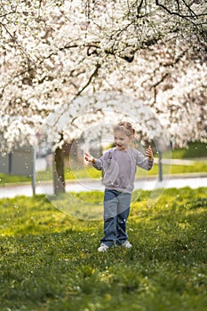 Little girl stands under a blooming apple tree. The wind blows and flower petals fly like snow in Prague park, Europe