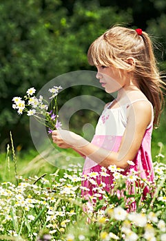 The little girl is stanging in the meadow photo