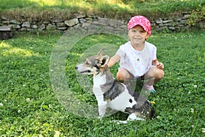 Little girl stroking a dog