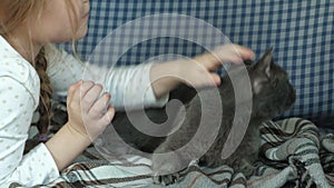 Little girl stroking a gray cat on the couch