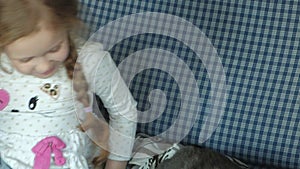 Little girl stroking a gray cat on the couch, close-up hands