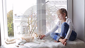 A little girl is stroking her cat sitting on the windowsill. Friendship of a girl and a cat.