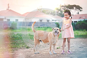 The little girl is stroking her dog with gently and friendly, showing love and care of pet