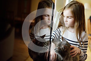 Little girl stroking her pet cat by the window