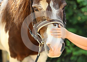 Little girl stroking her pony in green park,