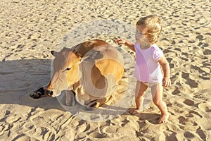 A little girl stroking a stray cow that lies on the sand of the beach, a stray animal, love for living creatures,